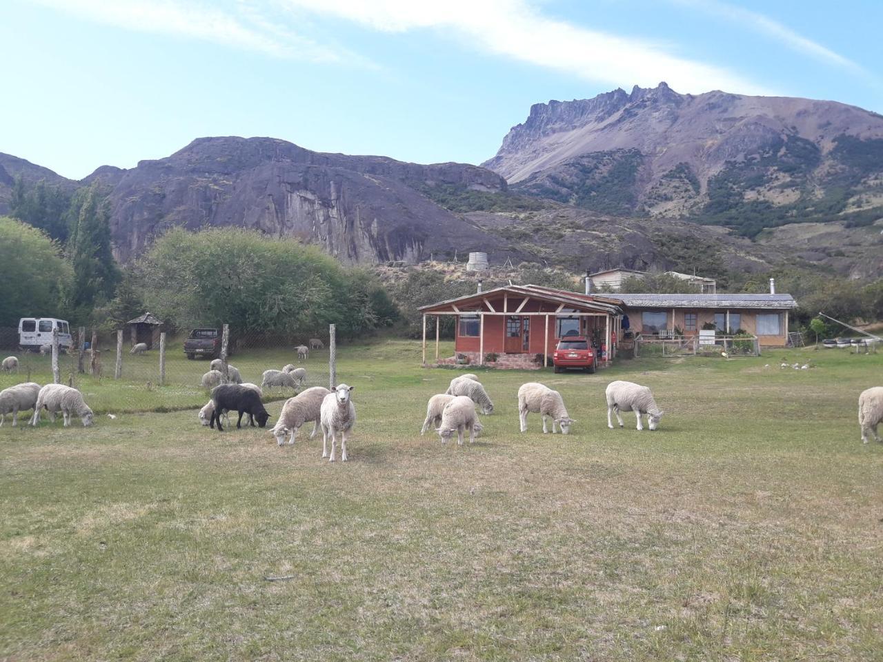 Hospedaje El Juncal Puerto Ingeniero Ibanez Esterno foto